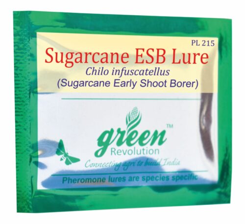 ESB lure for sugarcane pest control
