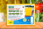 Eco Sticky Trap (Yellow/Blue) – Set of 10 & 25 Boards | GREEN REVOLUTION - Image 3