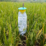 Funnel Trap (PT102) for Insect Monitoring | GREEN REVOLUTION - Image 2