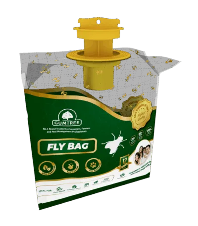 Gumtree disposable fly bag for housefly control