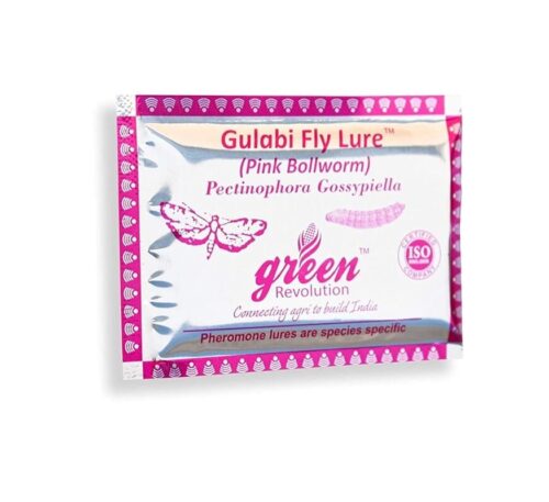 Gulabi fly lure for cotton crop pest control