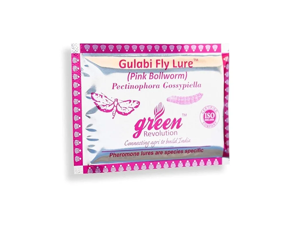 Gulabi fly lure for cotton crop pest control