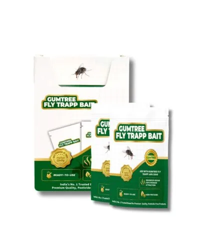 Gumtree fly trapp bait non-pesticide fly lure