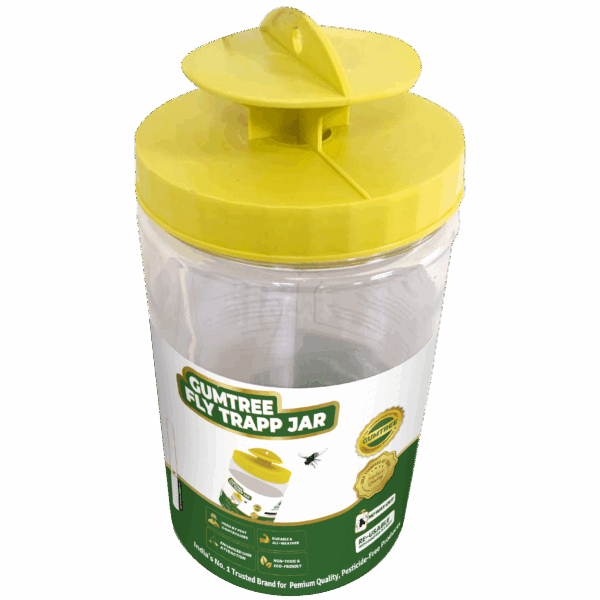 Gumtree Fly Trapp Jar – Reusable Non-Pesticide Fly Trap for Farms & Outdoor Fly Control