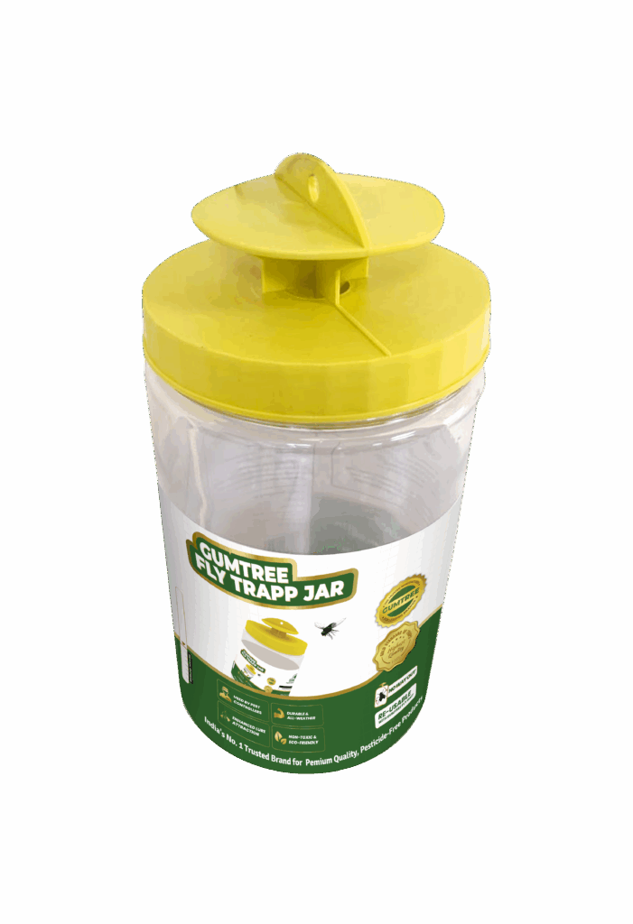 NS 5002 F1 determinate tomato seeds by Namdhari