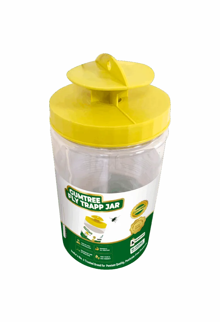 NS 5002 F1 determinate tomato seeds by Namdhari