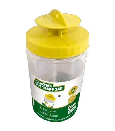 NS 5002 F1 determinate tomato seeds by Namdhari