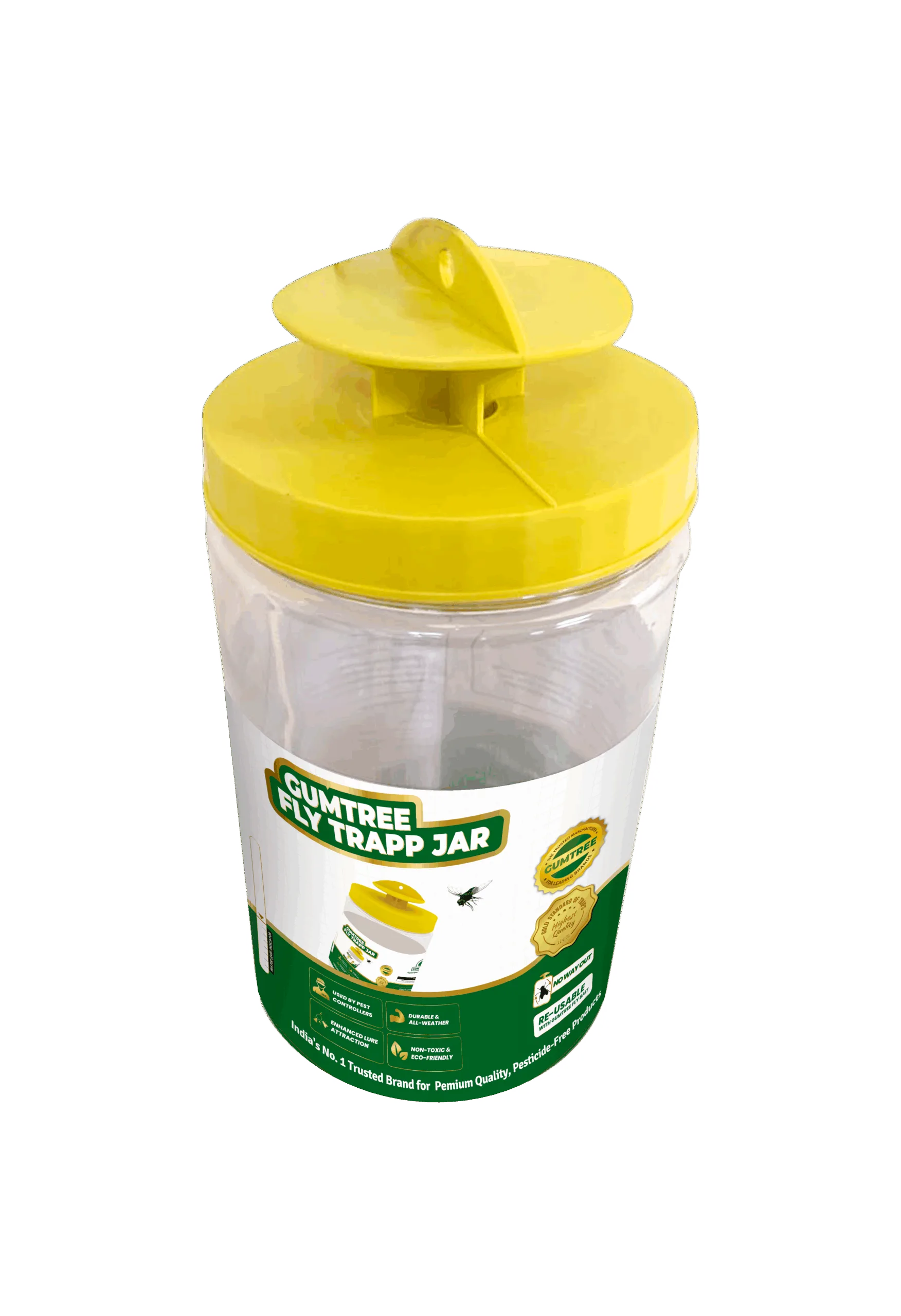 Gumtree Fly Trapp Jar NS 5002 F1 determinate tomato seeds by Namdhari