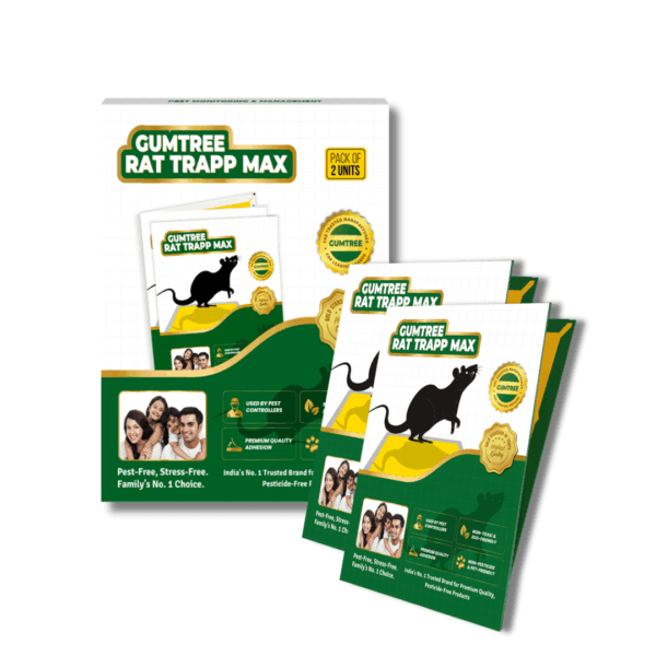 Gumtree Rat Trapp Max (Pack of 2) – Heavy-Duty Rat Glue Trap for Industrial Rodent Control