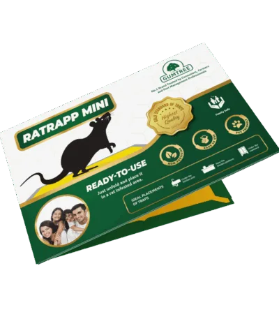 Gumtree mini rat glue trap for mice