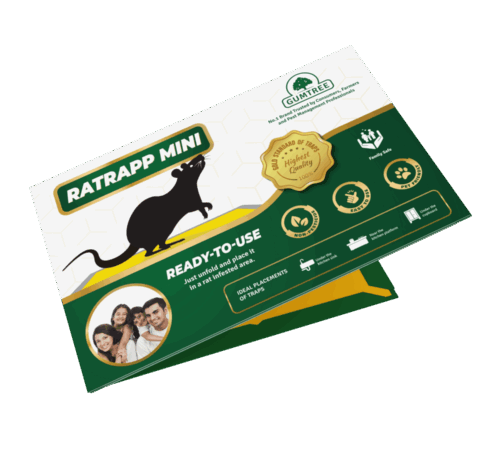 Gumtree mini rat glue trap for mice