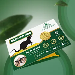 Mini rat trap packet.