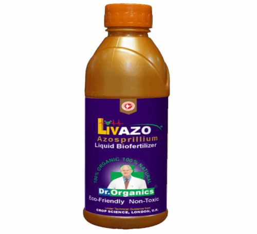 Azotobacter bio fertilizer for nitrogen enrichment