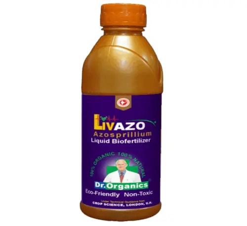 Azotobacter bio fertilizer for nitrogen enrichment