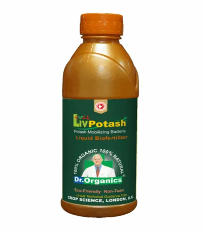 Potash mobilizing bacteria bio fertilizer for soil