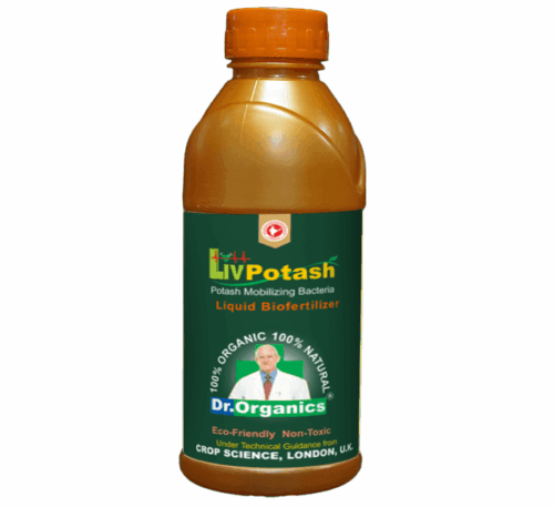 Potash mobilizing bacteria bio fertilizer for soil