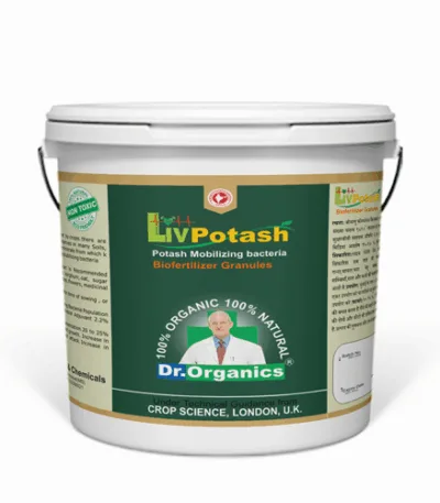 Potash mobilizing bacteria bio fertilizer for crops