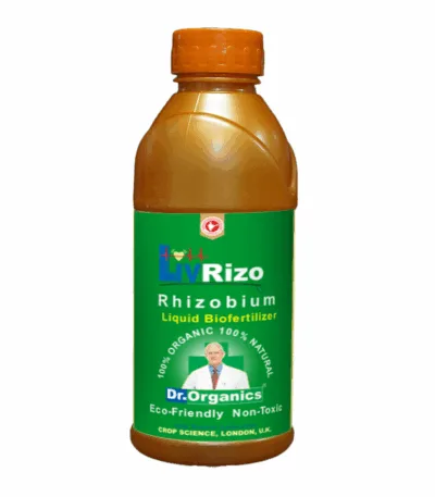Rhizobium bio fertilizer for nitrogen fixation