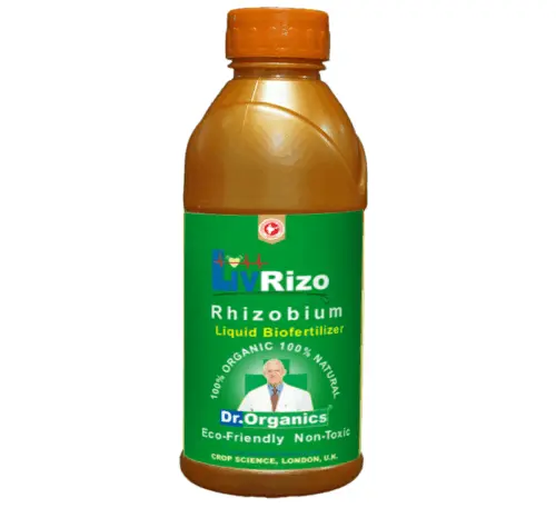 Rhizobium bio fertilizer for nitrogen fixation