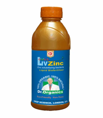 Zinc solubilizing bacteria bio fertilizer for crops