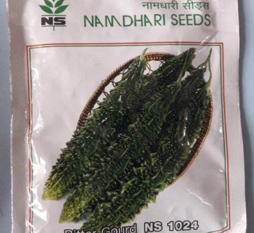 Namdhari NS 1024 F1 bitter gourd hybrid seeds
