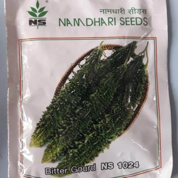 Namdhari NS 1024 F1 bitter gourd hybrid seeds