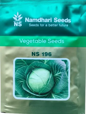 NS 196 F1 cabbage seeds by Namdhari Seeds