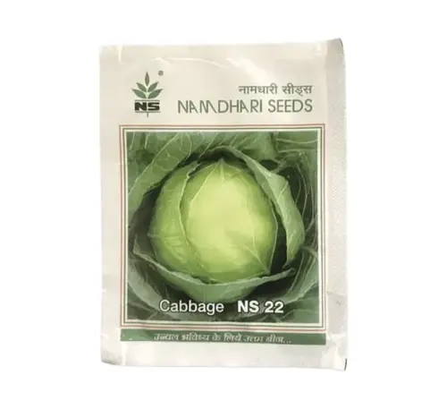 NS 196 F1 cabbage seeds by Namdhari Seeds
