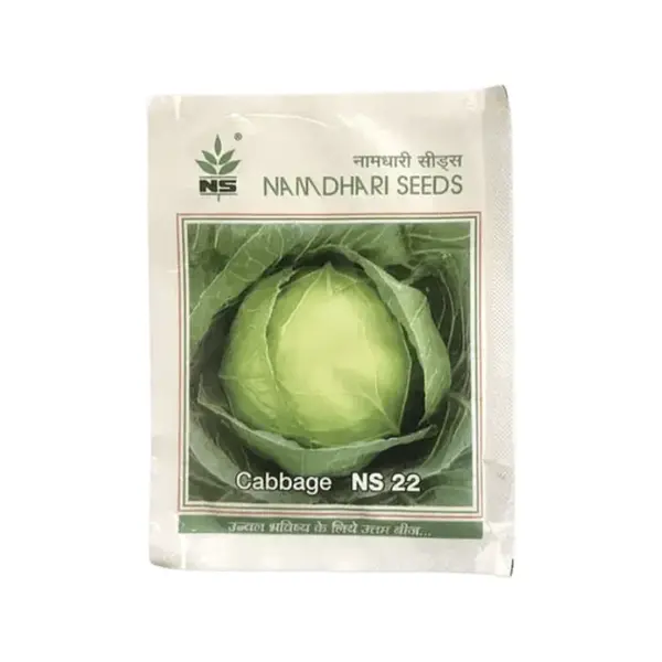 Buy NS 22 Cabbage Seeds (F1 Hybrid) | Namdhari Seeds - Late Maturity, High Yield