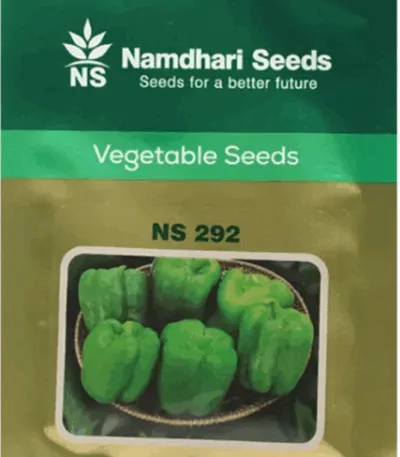 NS 292 F1 capsicum seeds by Namdhari Seeds