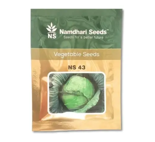 Namdhari NS 43 F1 cabbage seeds pack