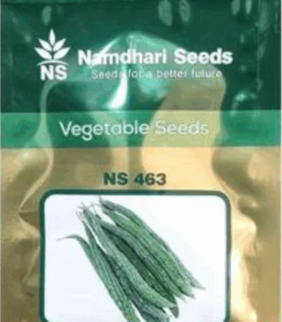 Namdhari NS 463 F1 bitter gourd hybrid seeds