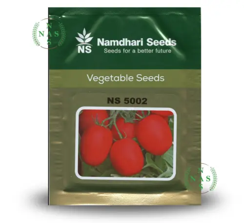 NS 5002 F1 determinate tomato seeds by Namdhari