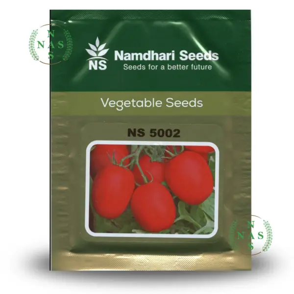 NS 5002 (1068) F1 Determinate Tomato Seeds – Oval Saladette | Namdhari