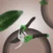 Plant care gardening tools.