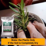 Trugrow Earth Magic Potting Soil Fertilizer 5Kg | Enriched Organic Potting Mix for Plants | Ready-to-Use Garden Soil - Image 4