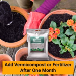 Trugrow Earth Magic Potting Soil Fertilizer 5Kg | Enriched Organic Potting Mix for Plants | Ready-to-Use Garden Soil - Image 5