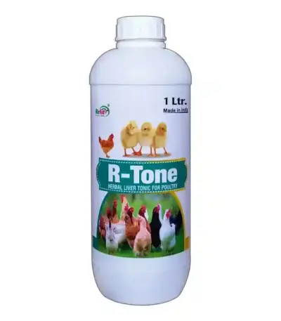 R-TONE by Refit