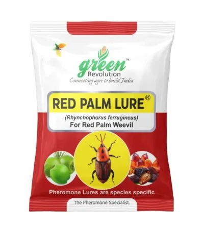 Red Palm Lure for Coconut & Date Palm Pack of 2 – PL208 | Green Revolution
