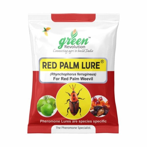 Red Palm Lure for Coconut & Date Palm – PL208 | Green Revolution