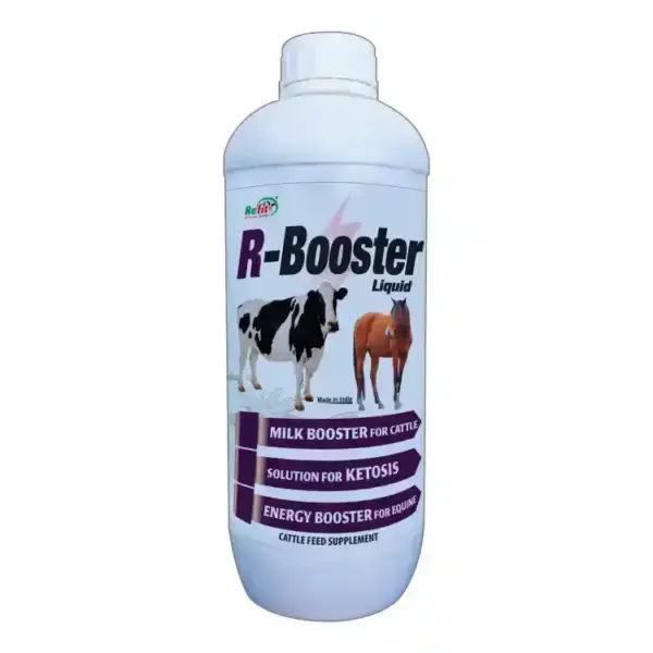 R-BOOSTER by Refit – Milk, Energy & Immunity Booster for Cattle, Buffalo & Dairy Animals