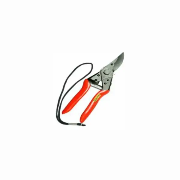 SARTAJ PRUNNING SECATEUR – Sharp Blade Garden Pruning Tool