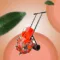Seed-Dril machine
