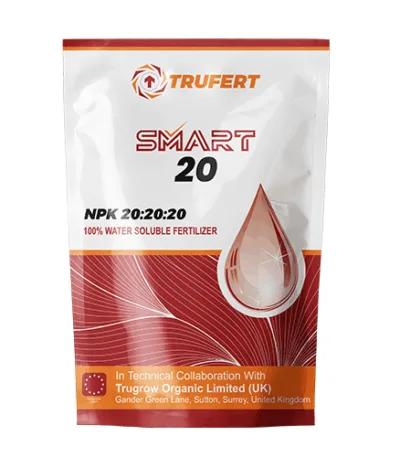 Balanced 20-20-20 NPK fertilizer for crops