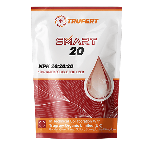 Balanced 20-20-20 NPK fertilizer for crops