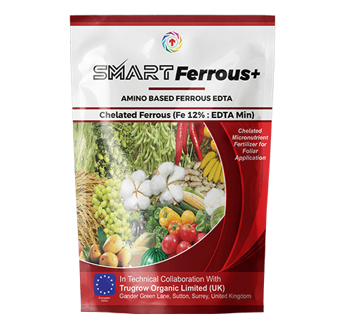 Chelated iron micronutrient fertilizer for crops