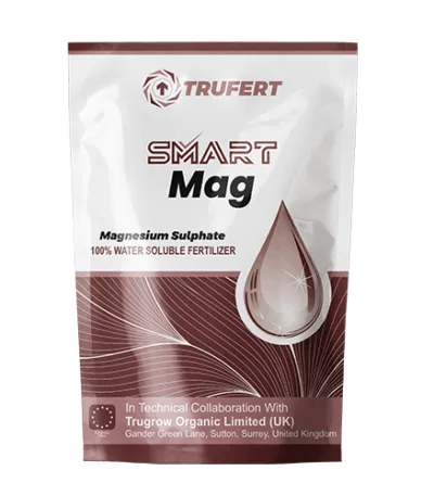 Magnesium sulphate micronutrient fertilizer for crops
