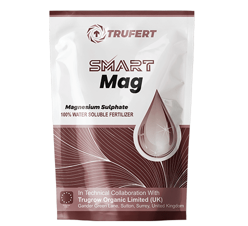 Magnesium sulphate micronutrient fertilizer for crops
