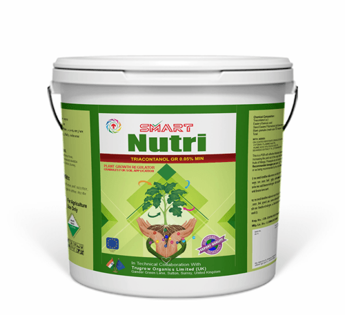 Micronutrient granules bio fertilizer for crops