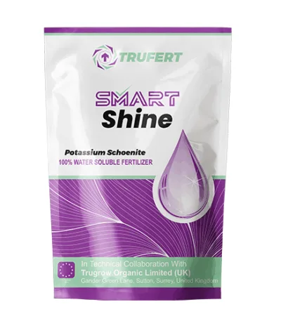 High-potash water-soluble fertilizer for crops
